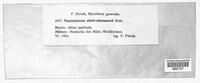 Image Associated With the Occurence